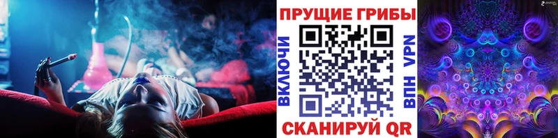Псилоцибиновые грибы Cubensis Калуга
